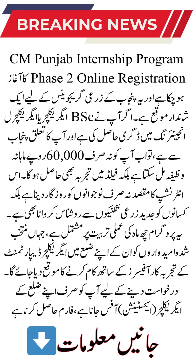 CM Punjab Internship Program Phase 2