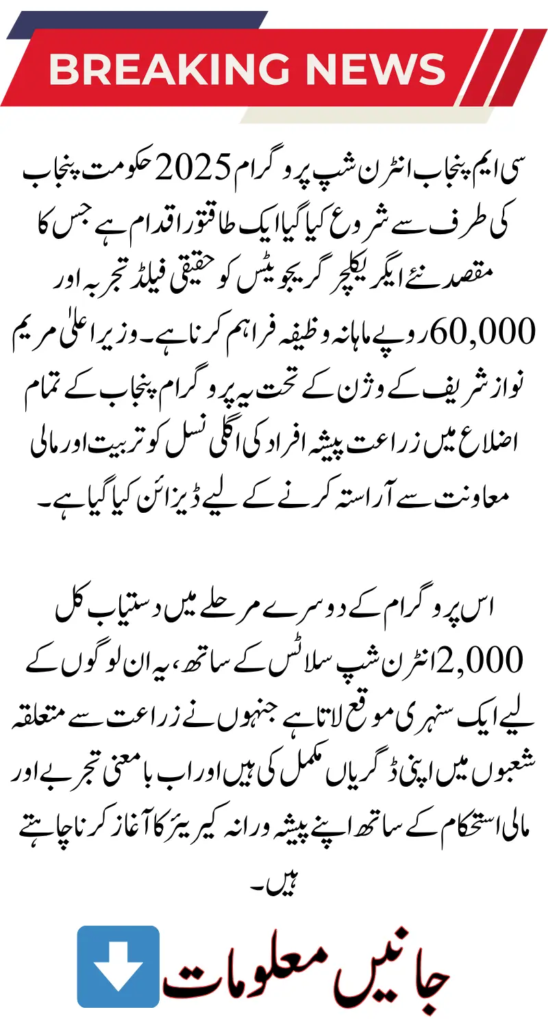 CM Punjab Internship Program 2025