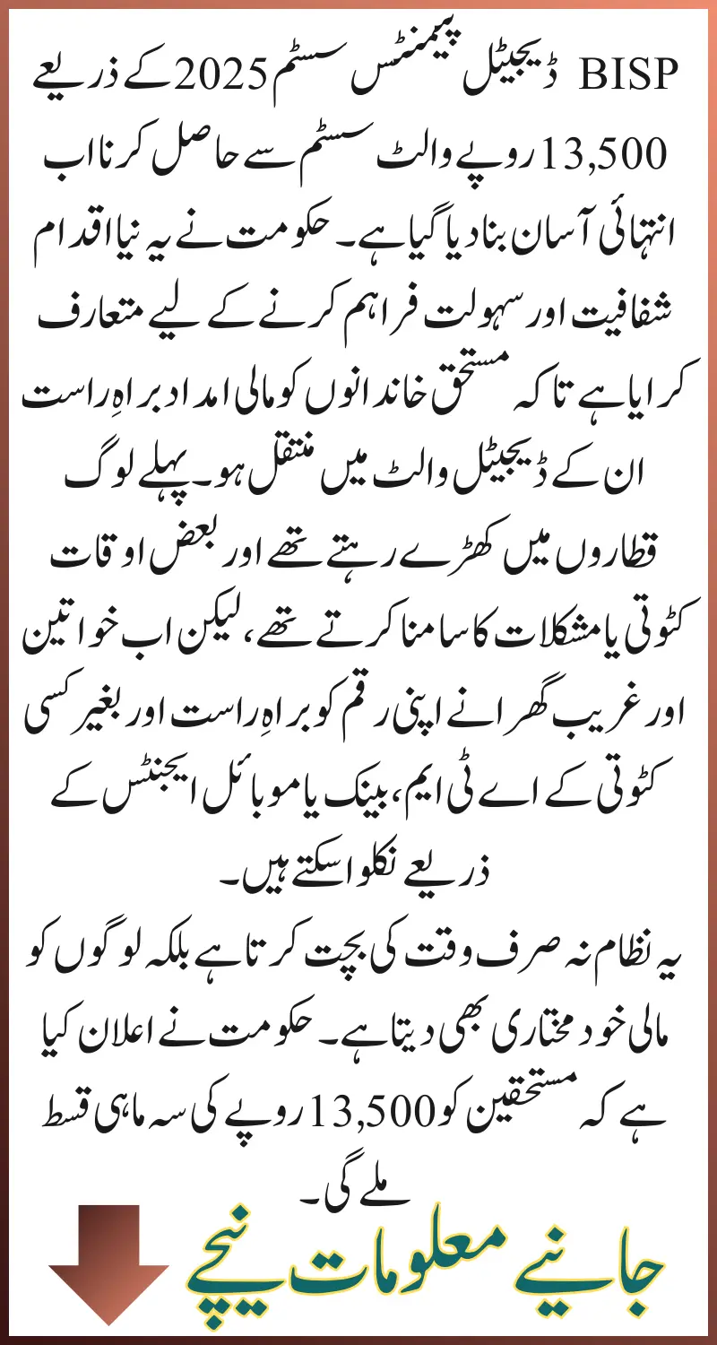 BISP Digital Payments