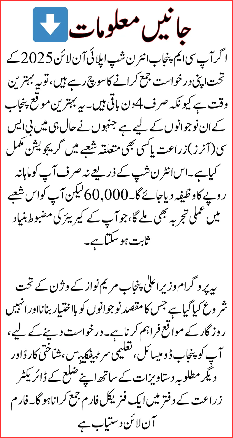4 Days to Left in CM Punjab Internship Apply Online