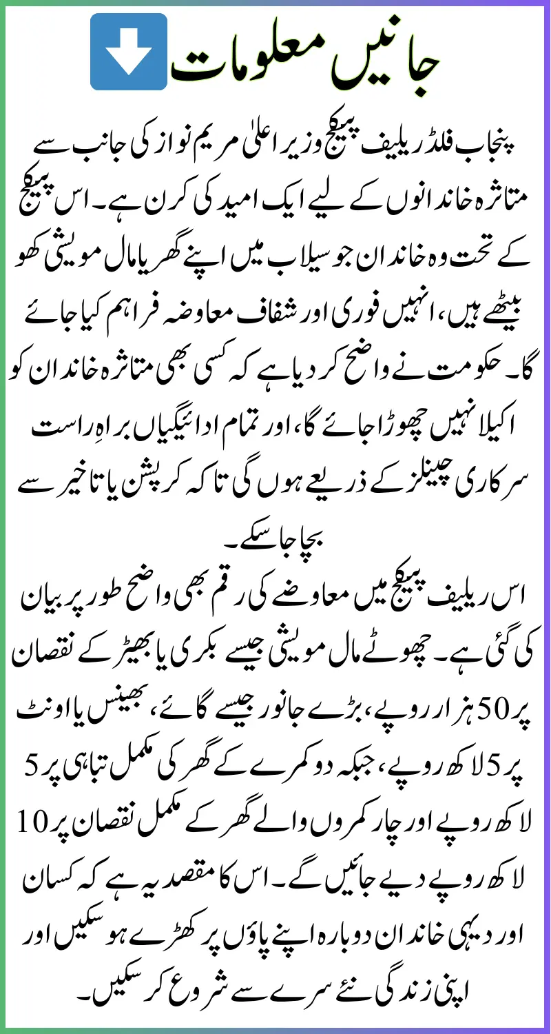 Punjab Flood Relief Package